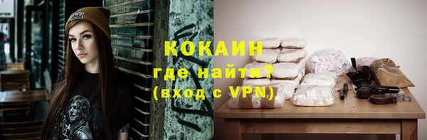 тгк Няндома