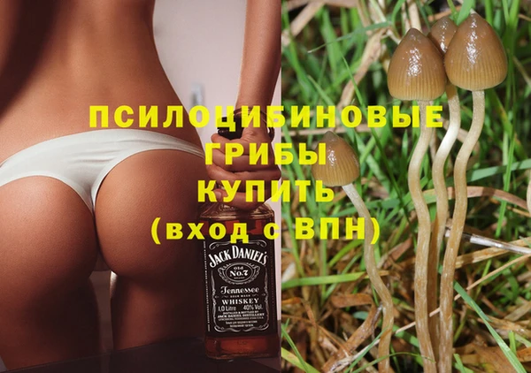 стаф Нягань