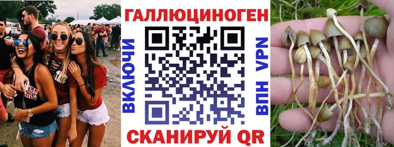 Галлюциногенные грибы MAGIC MUSHROOMS  Калининец 